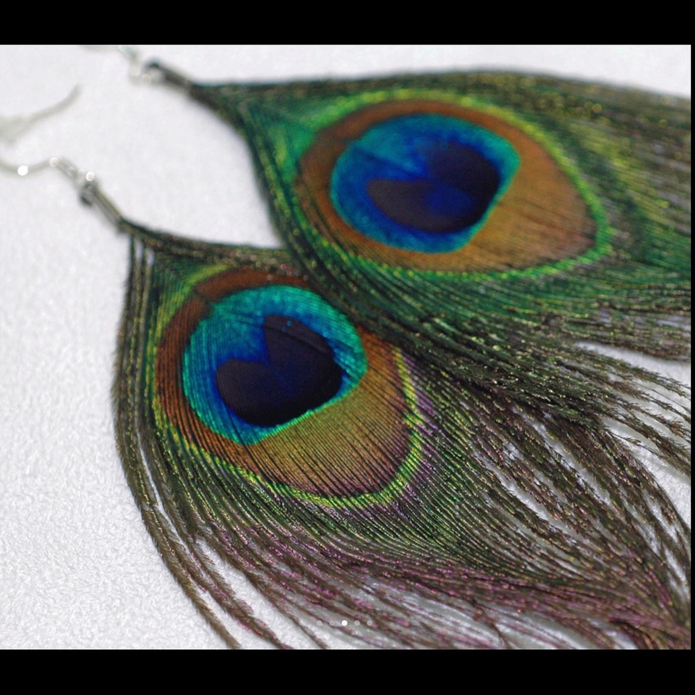 Peacock feather earrings